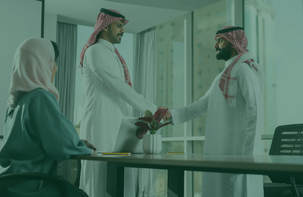 برنامج التوظيف وريادة الأعمال
